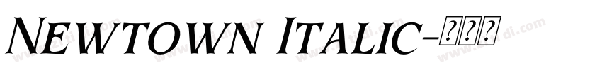 Newtown Italic字体转换